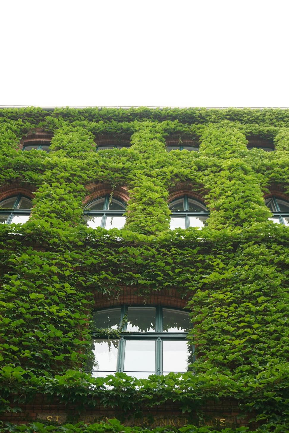 Green Architecture