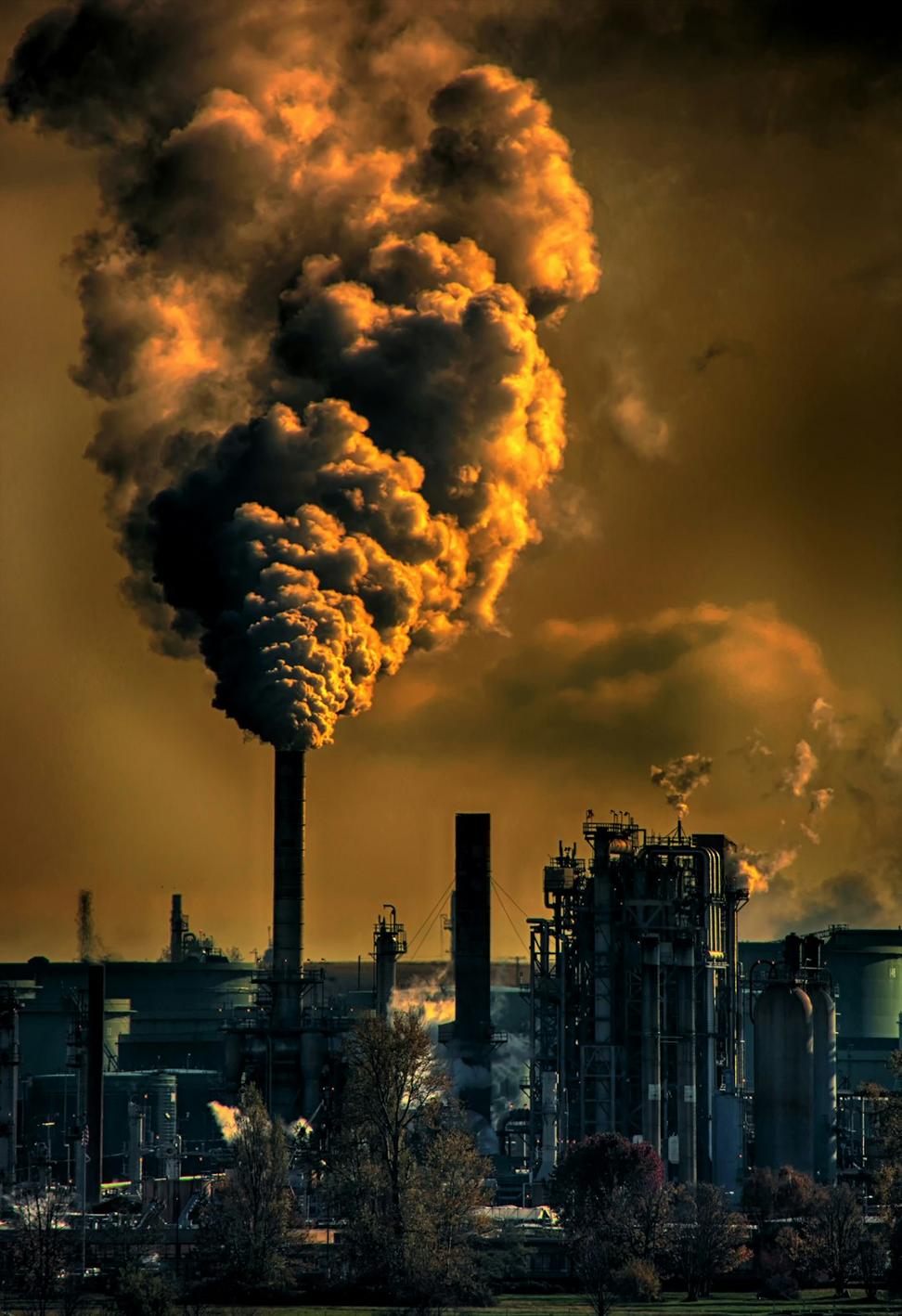 Environmental Impact Assessment